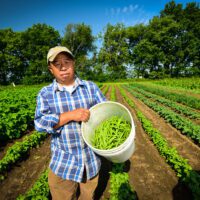 A Hmong farmer shows off his harvest at Westport Farm. Photo by Ben Jones Photography.