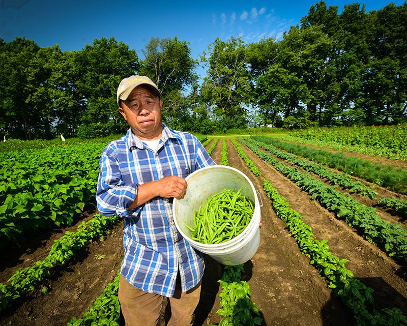 A Hmong farmer shows off his harvest at Westport Farm. Photo by Ben Jones Photography.