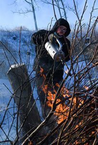 Member of the Conservation Graduate Crew burns brush