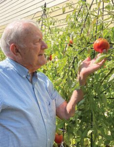 Wynn Davies holding a tomato plant.