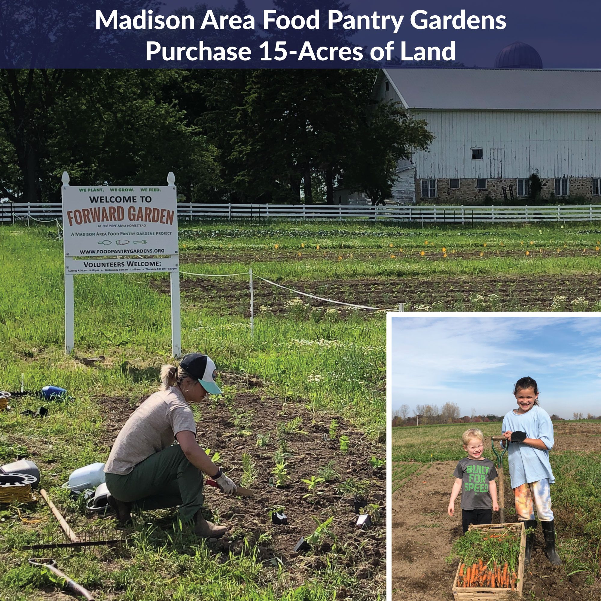 Someone planting and an inset photo of two children with the harvest from the Madison Area Food Pantry Gardens, which purchased 15 acres of land with a Community Impact grant from MCF. 
