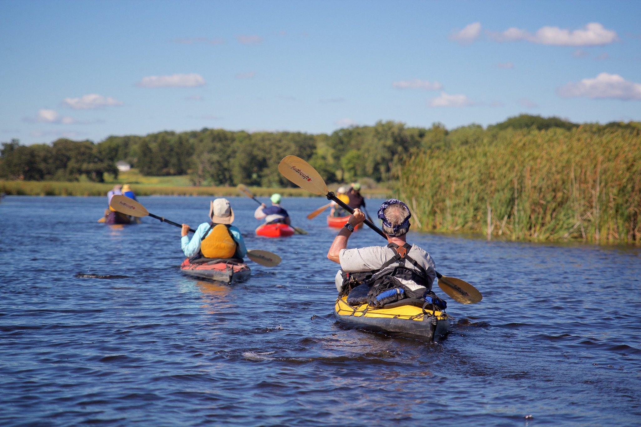 Group of kayakers from behind