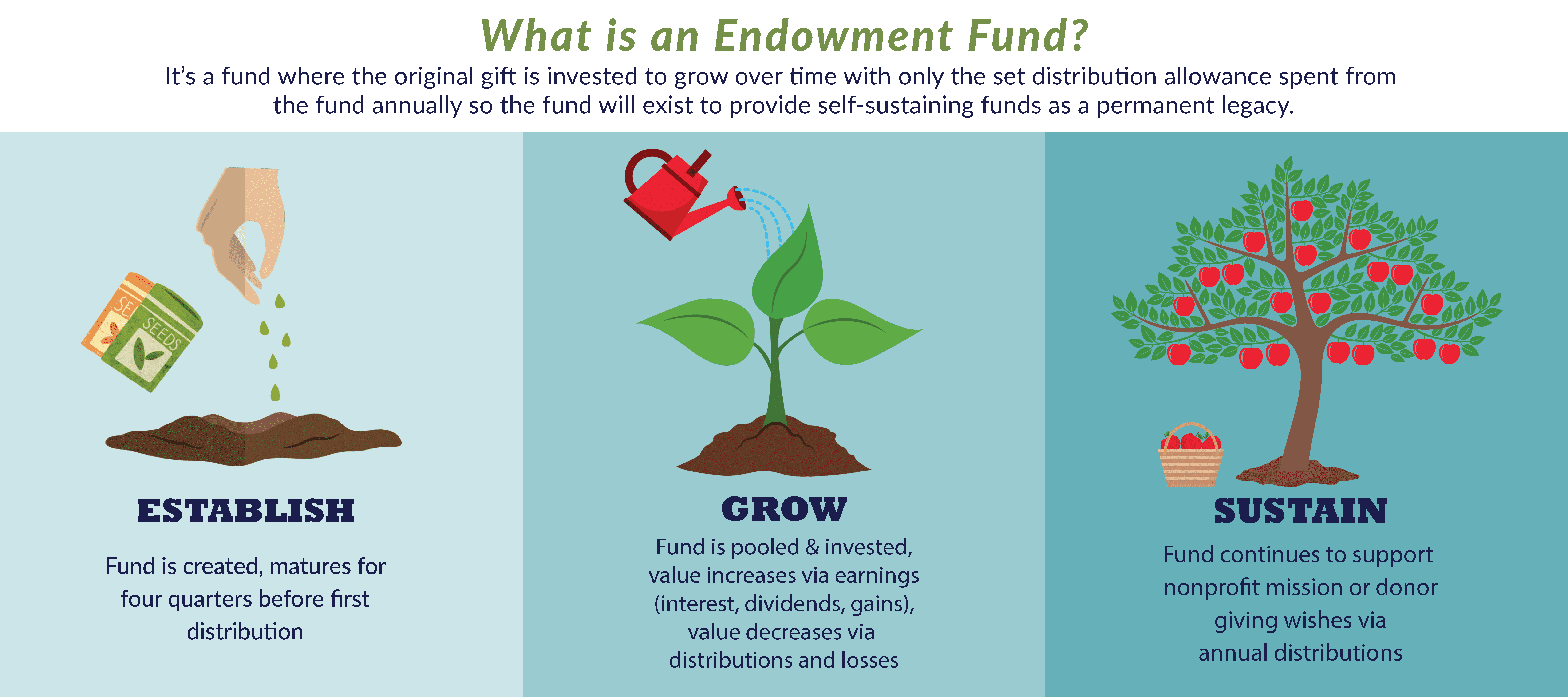 an infographic showing the growth of an endowment fund using seeds, saplings and a tree to represent growth
